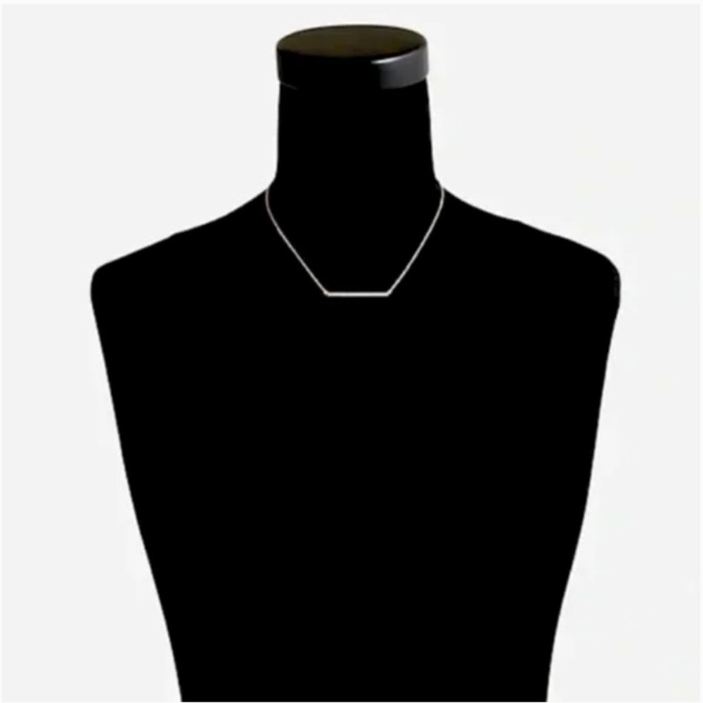 NWT JCREW Dainty Bar Necklace